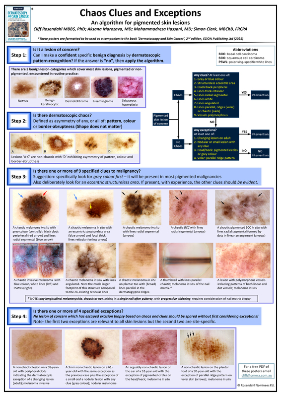 Thumbnail of Chaos, Clues and Exceptions poster by Professor Cliff Rosendahl